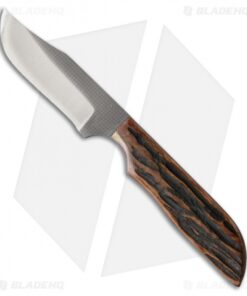Anza JW-2AJB Fixed Blade Knife Amber Jigged Bone (3.00" Satin)