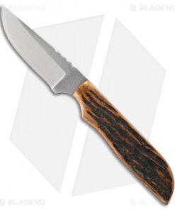 Anza Knives SP-3AJB Fixed Blade Knife Amber Jigged Bone (3.25" Plain)