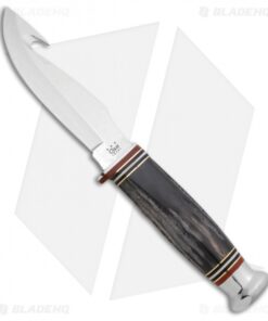 Case Guthook Hunter Fixed Blade Knife Buffalo Horn (4.375 Satin) 17914