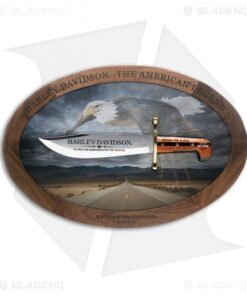 Case Harley-Davidson Bowie Commemorative Plaque 52148