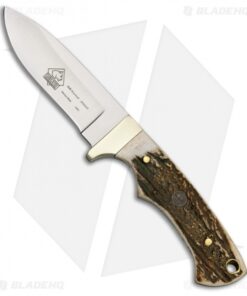Puma SGB Blacktail Fixed Blade Knife Stag (3.25" Satin) 6530040