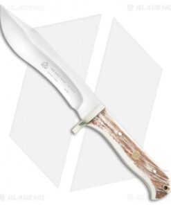 Puma SGB Buffalo Hunter Fixed Blade Knife Stag (5.625" Satin)