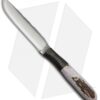 Anza Knives 108-E Fixed Blade Knife Elk Bone (3.75" Satin)