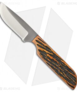 Anza WK6-AJB Fixed Blade Knife Amber Jigged Bone (2.75" Satin)