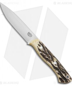 Bark River Aurora LT Fixed Blade Knife Stag Horn (4.625" CPM-3V Satin)